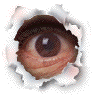 jpg.jpg